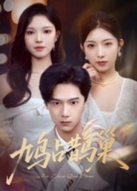 鸠占鹊巢顶流夫人的致命陷阱