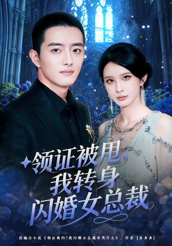 领证被甩，我转身闪婚女总裁