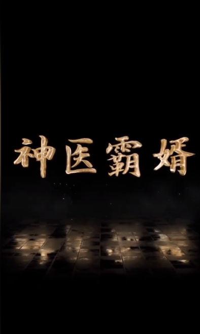 《神医霸婿》