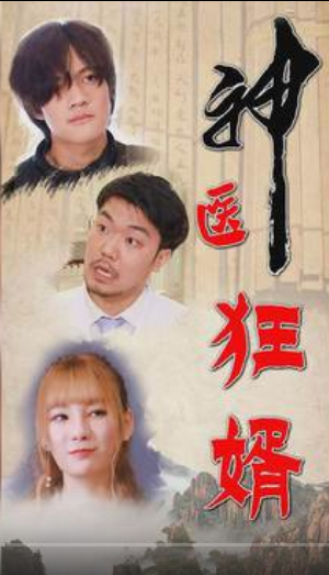 《神医狂婿》