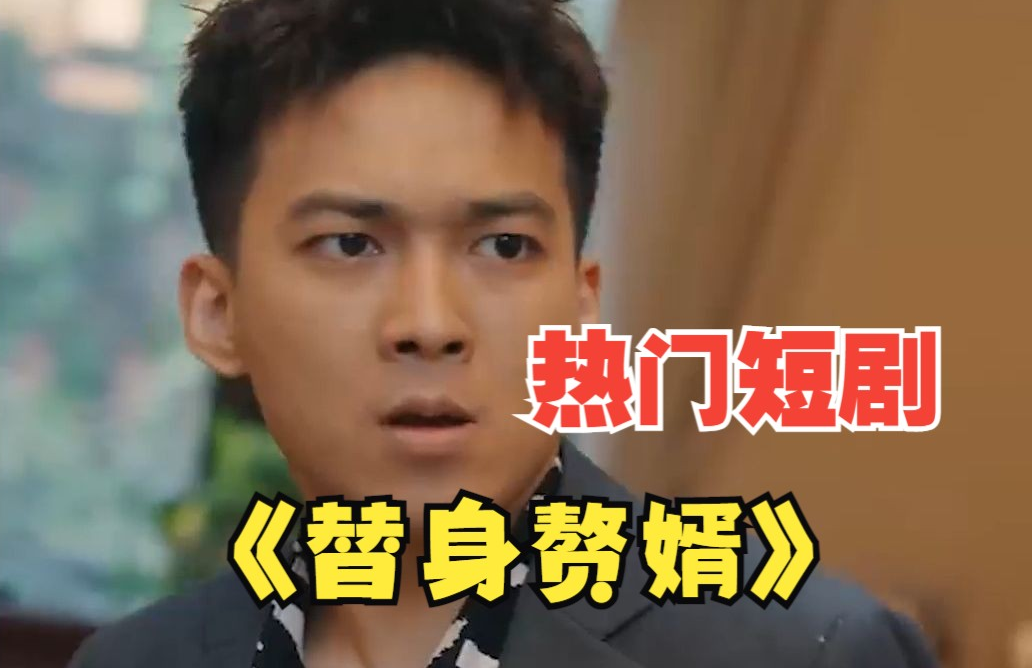 《女总裁的替身赘婿》