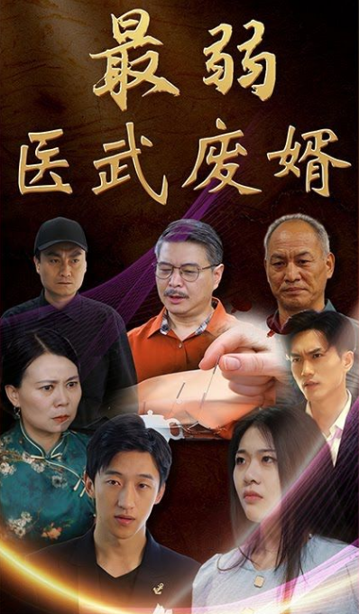 《最弱医武废婿》