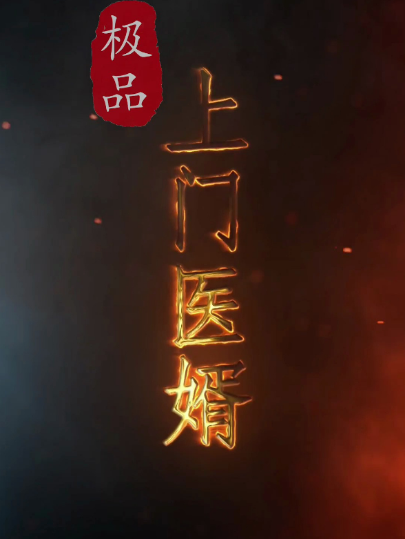 《极品上门医婿》