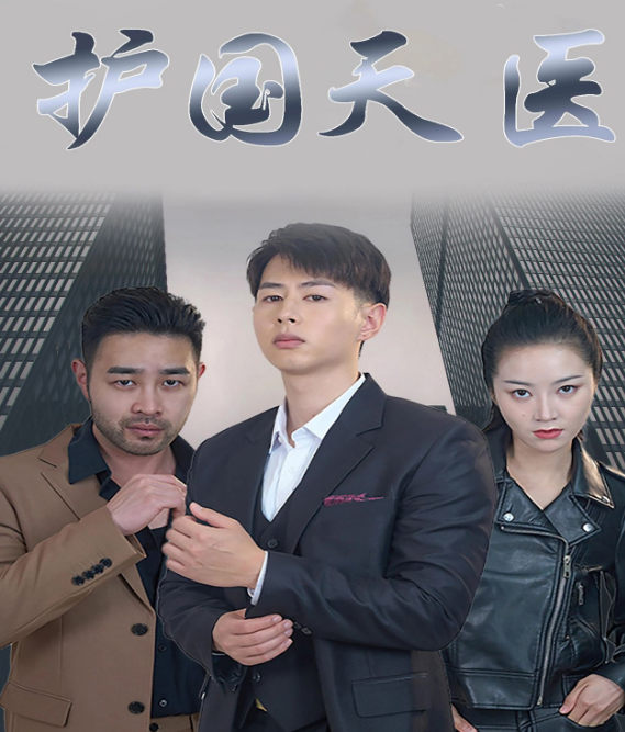 《护国天医》