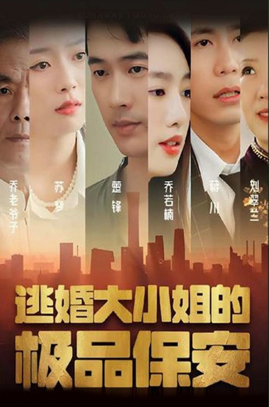 《逃婚大小姐的极品保安》