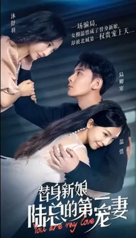 《替身新娘:陆总的第一宠妻》