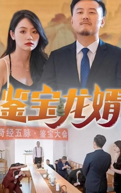 《鉴宝龙婿》