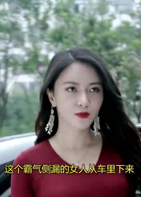 《女总裁的贴身医仙》