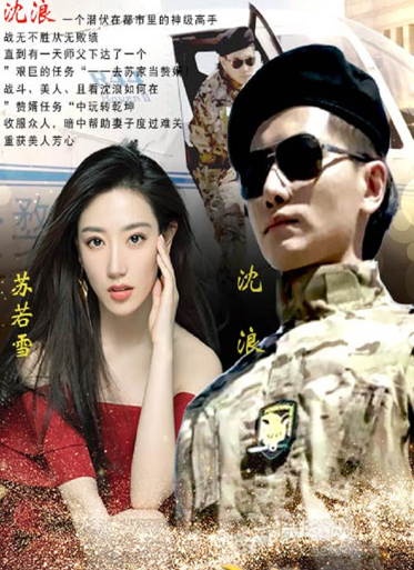 《神级龙卫短剧》