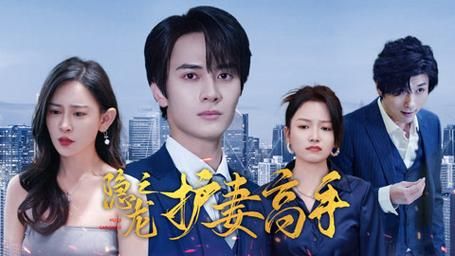 《隐龙之护妻高手》
