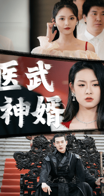 《医武神婿》