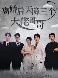 《离婚后天降三个大佬哥哥》