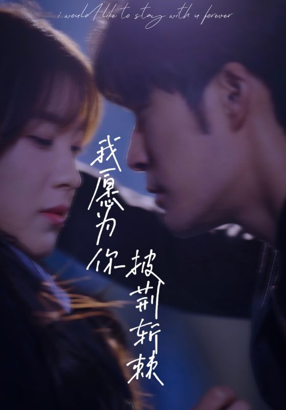 《我愿为你披荆斩棘》