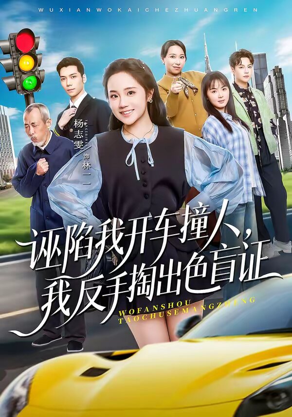 《诬陷我开车撞人，我反手掏出色盲证》