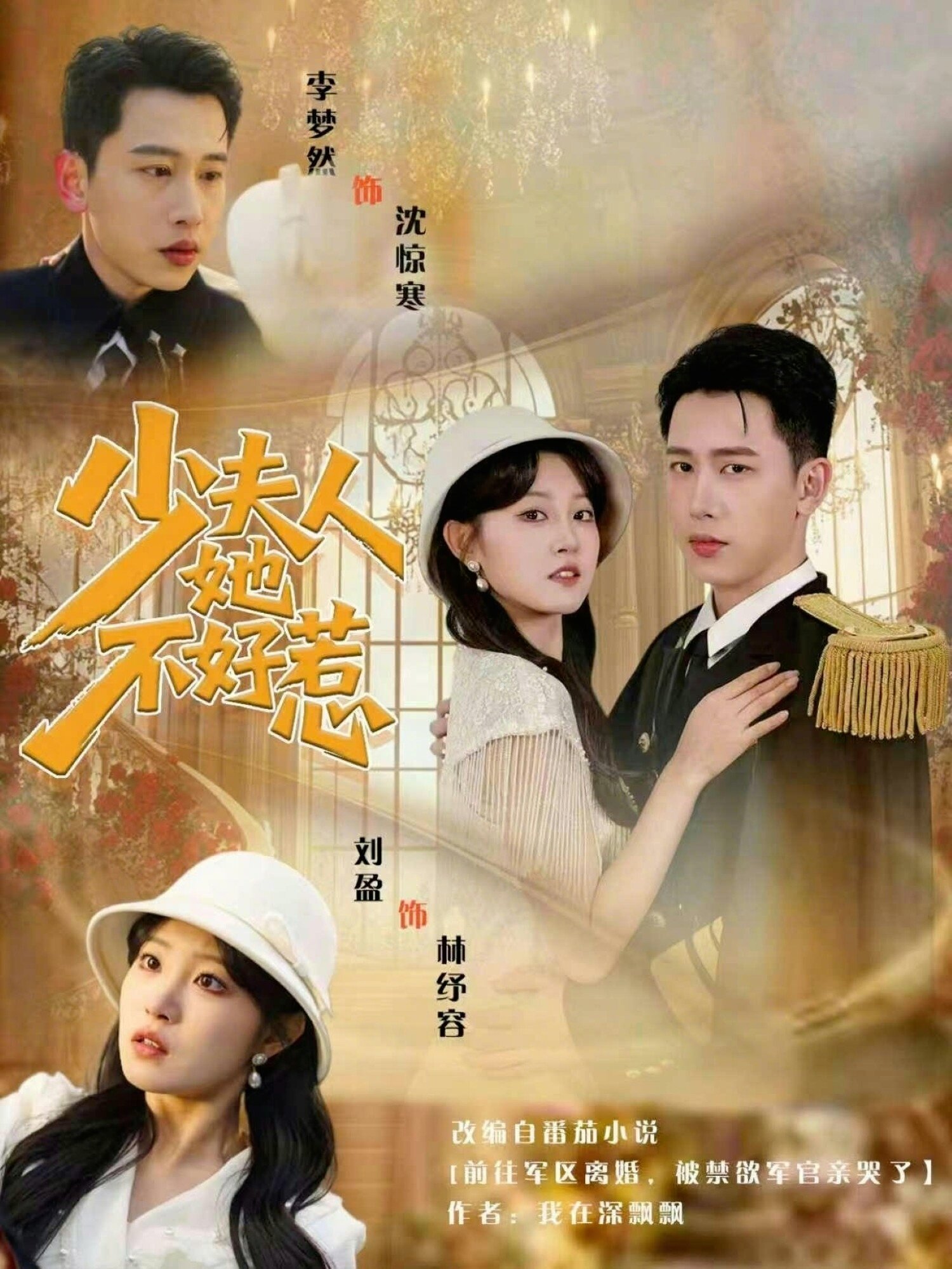 《少夫人她不好惹》
