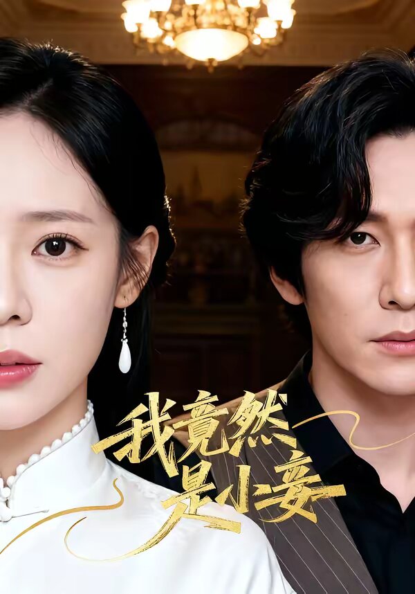 《我竟然是小妾》