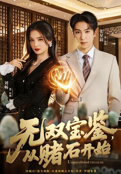 《无双宝鉴，从赌石开始》