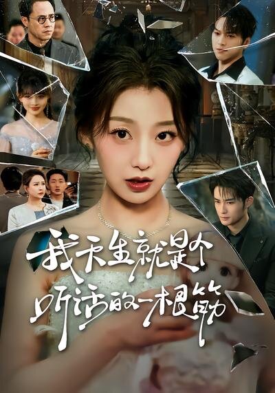 《我天生就是个听话的一根筋》