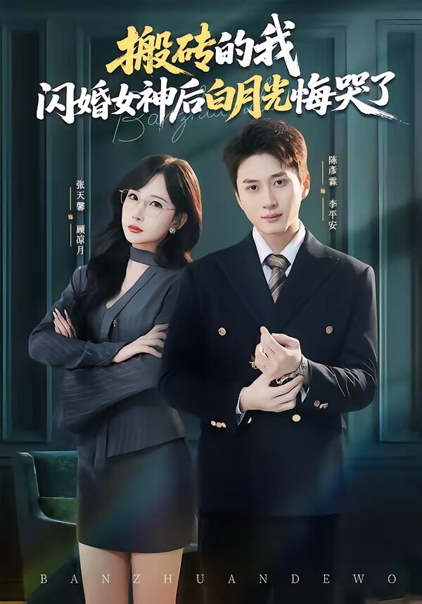 《搬砖的我，闪婚女神后白月光悔哭了》