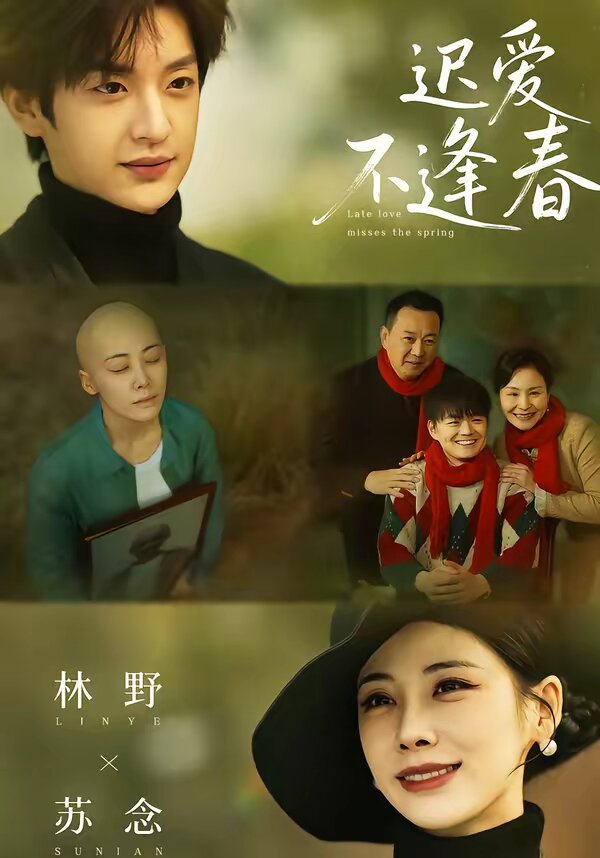 《迟爱不逢春》