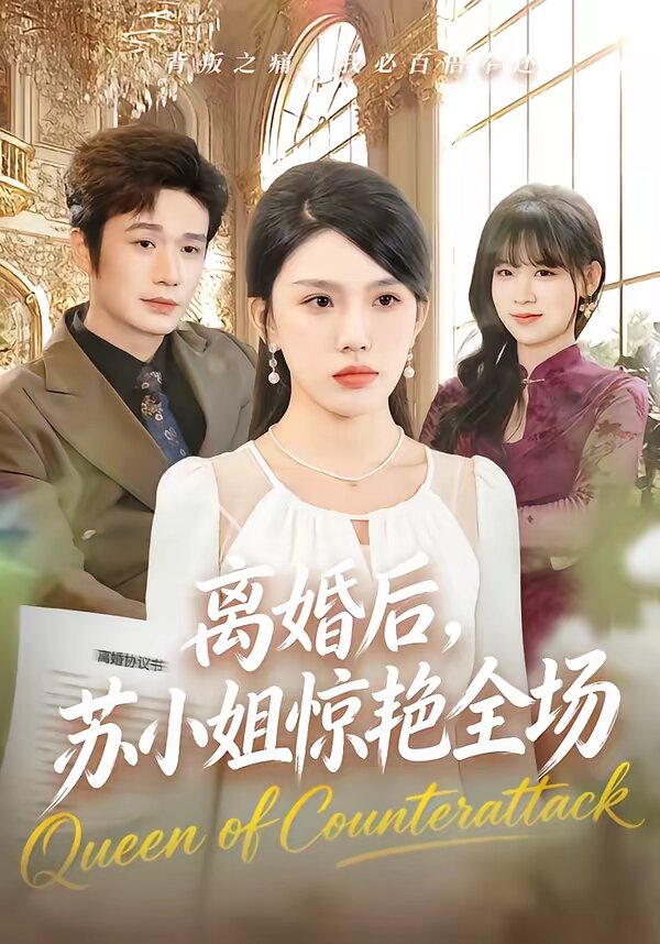《离婚后，苏小姐惊艳全场》