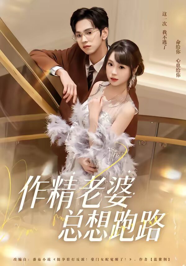 《作精老婆总想跑路》