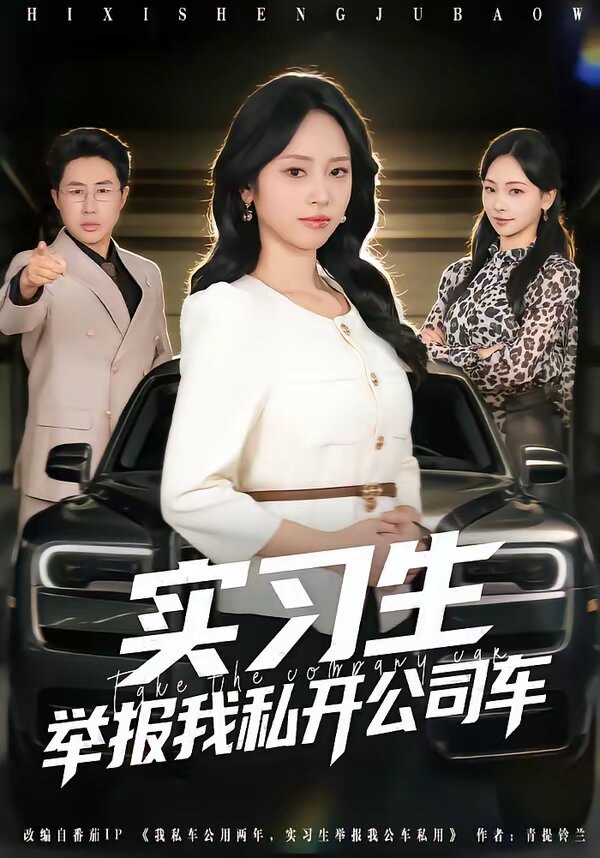 《实习生举报我私开公司车》
