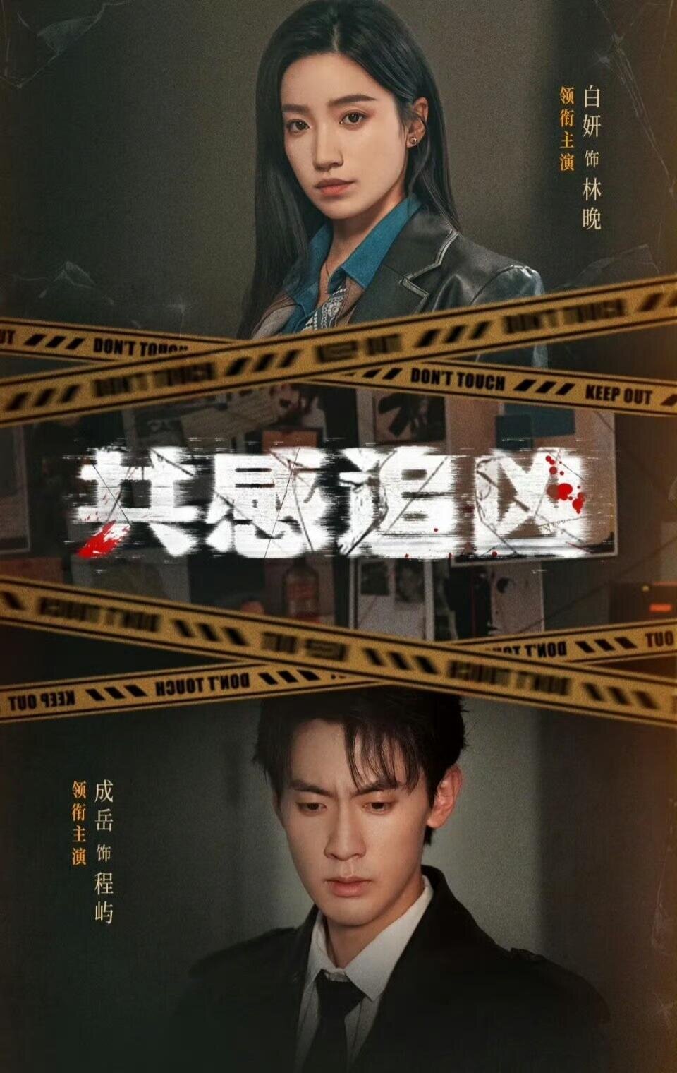 《共感追凶》