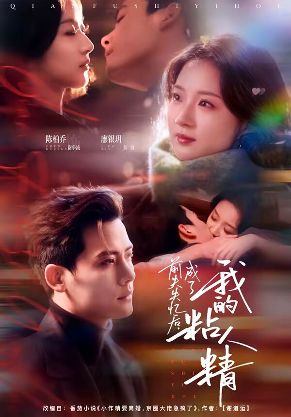 《前夫失忆后，成了我的粘人精》