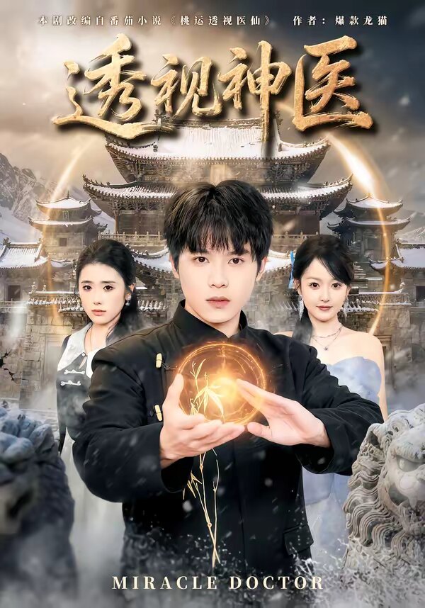 《透视神医》