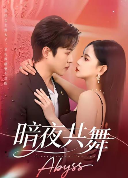 《暗夜共舞》
