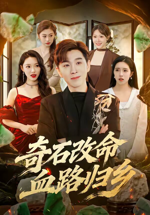 《奇石改命血路归》