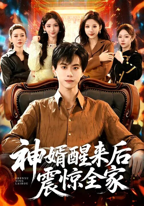 《神婿醒来后震惊全家》