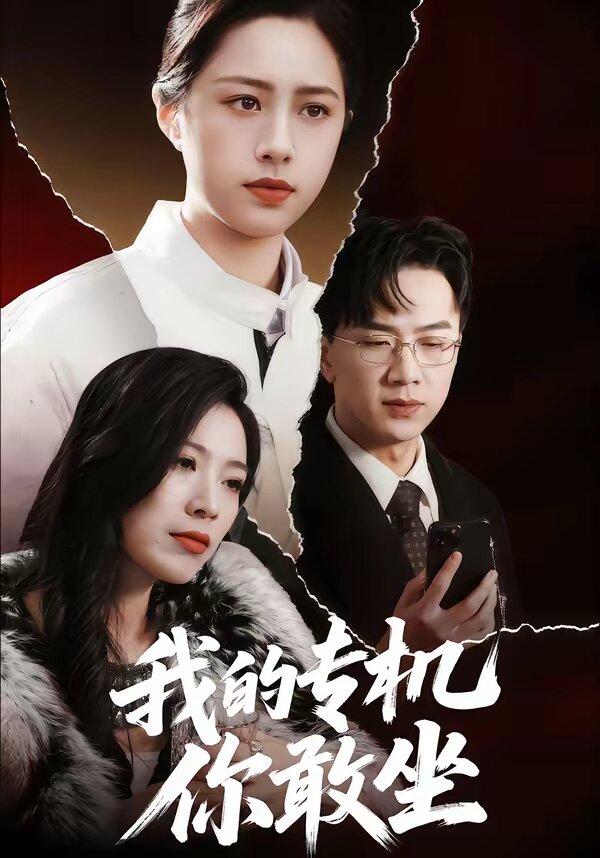 《我的专机你敢坐》