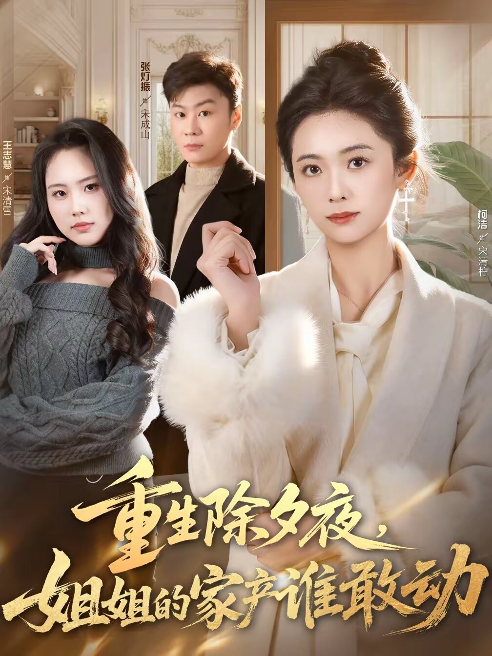 《重生除夕夜，姐姐的家产谁敢动》
