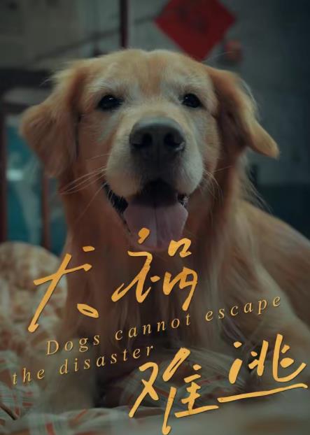 《犬祸难逃》