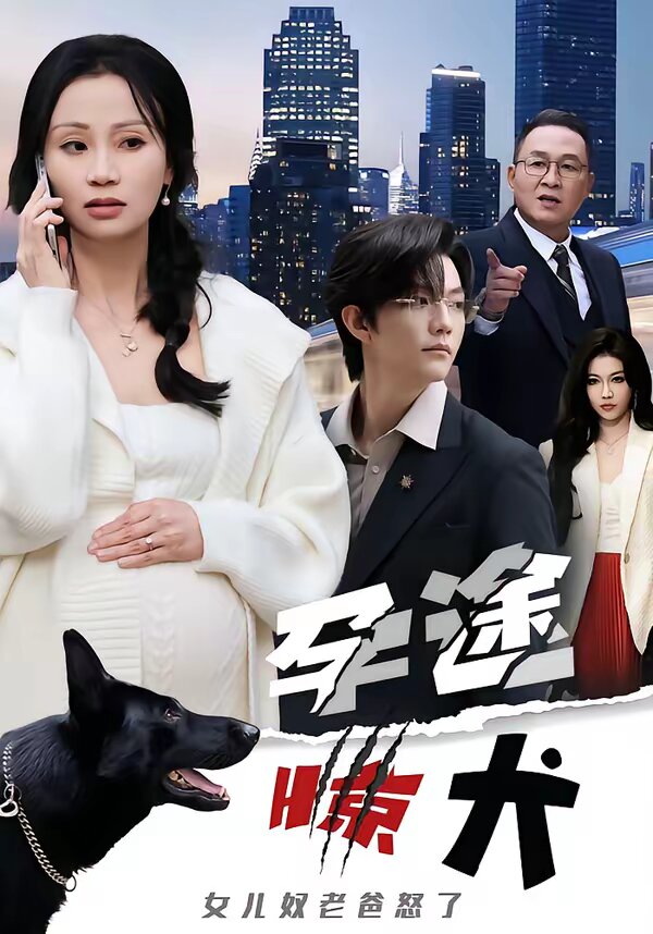 《孕途惊犬，女儿奴老爸怒了》