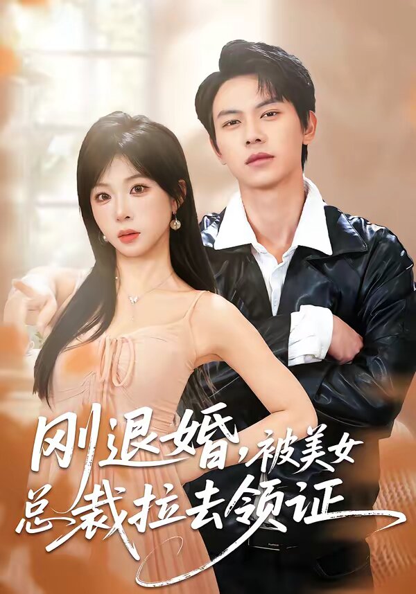 《刚退婚，被美女总裁拉去领证》