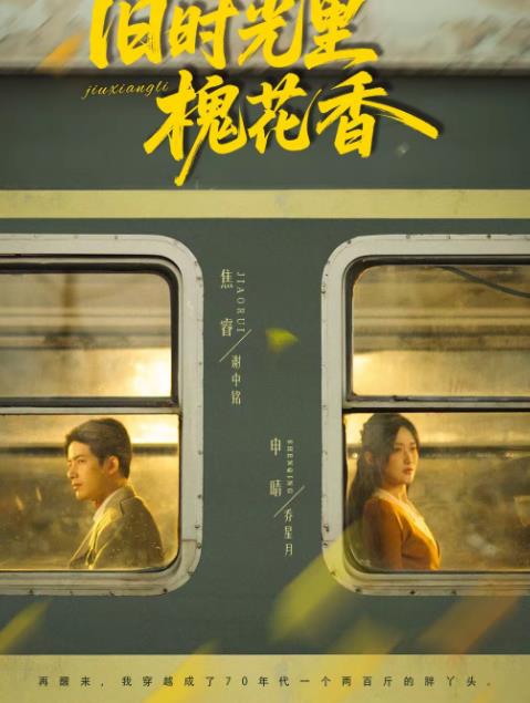 《旧时光里槐花香》