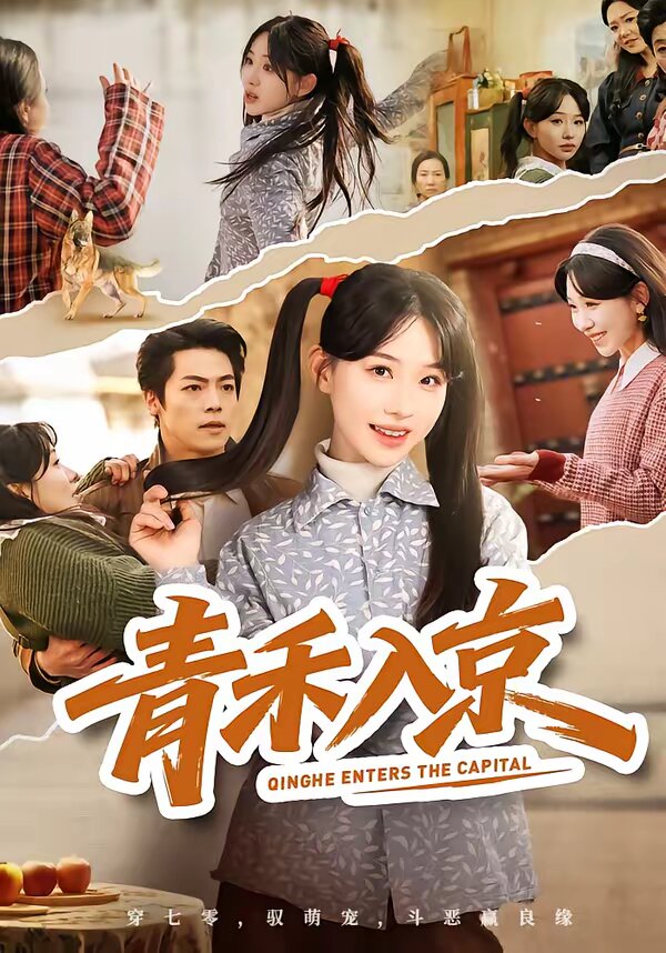 《青禾入京》