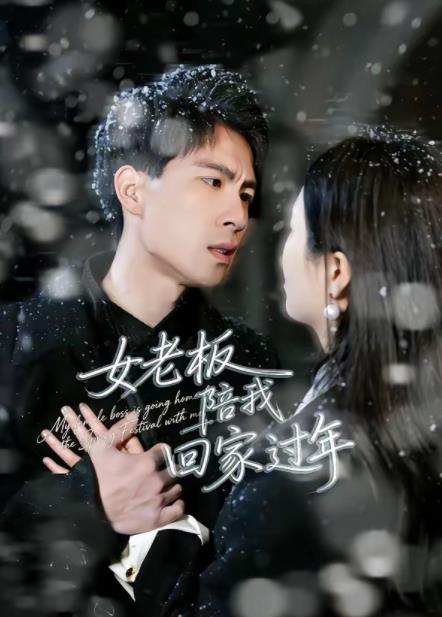 《女老板陪我回家过年》
