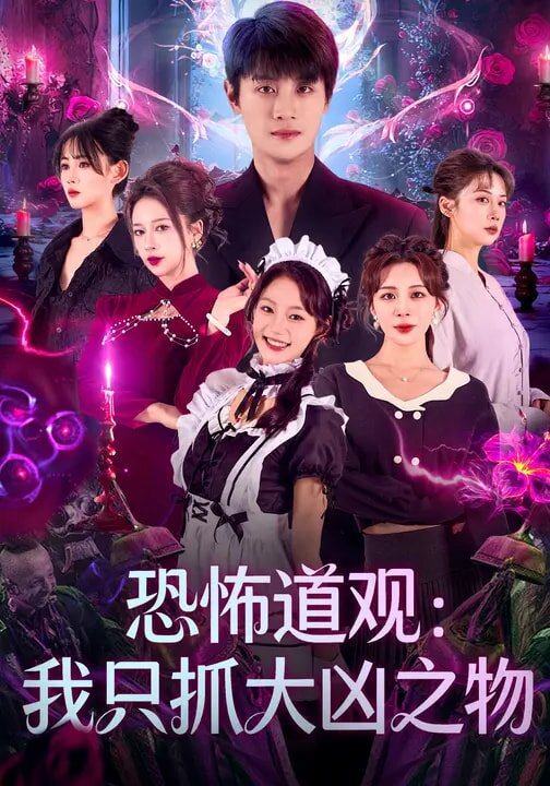 《恐怖道观：我只抓大凶之物》