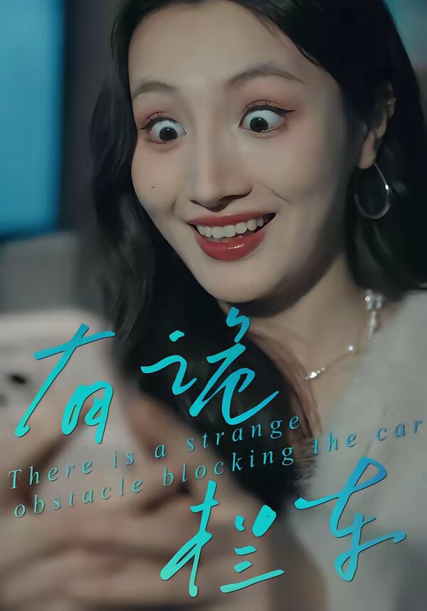 《有诡拦车》