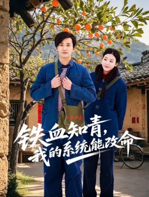 《铁血知青，我的系统能改命》