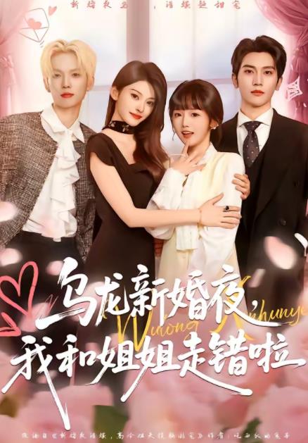 《乌龙新婚夜，我和姐姐走错啦》