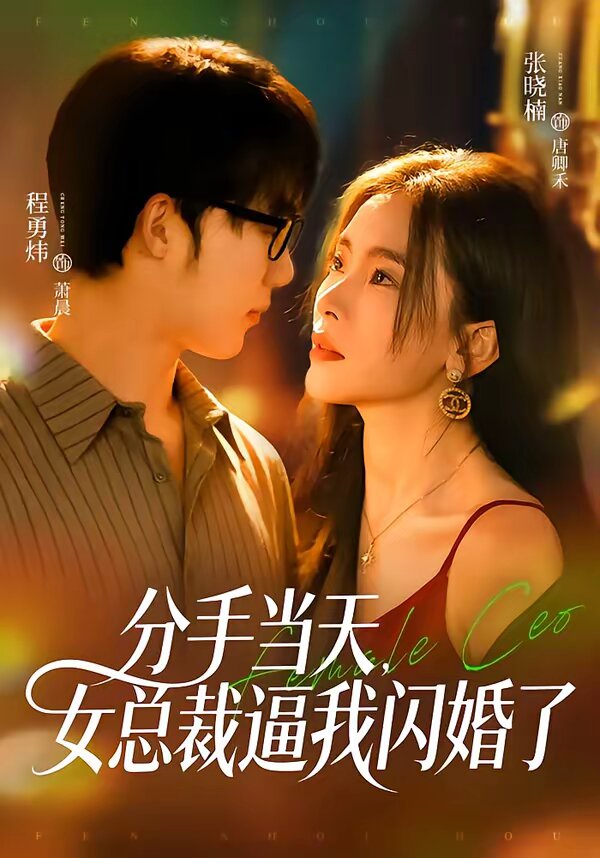 《分手当天，女总裁逼我闪婚了》