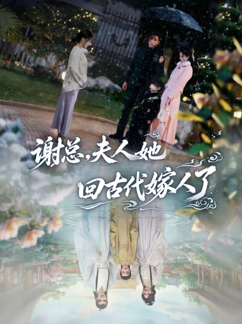 《谢总，夫人她回古代嫁人了》