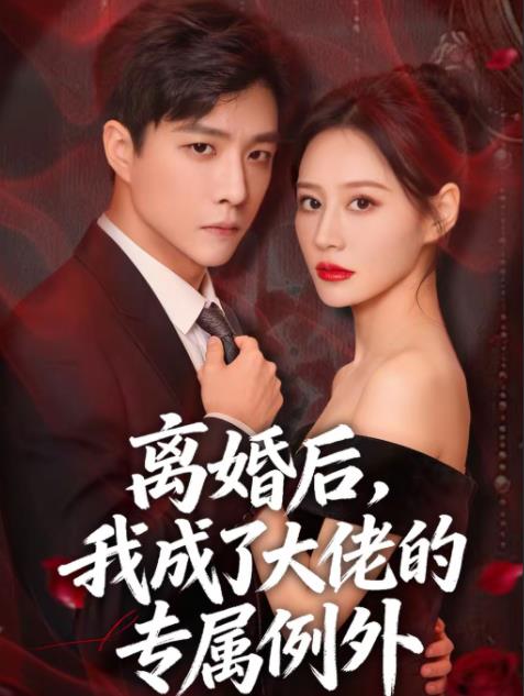《离婚后，我成了大佬的专属例外》