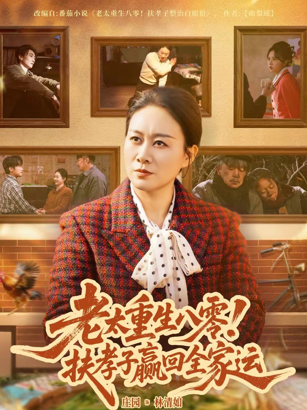 《老太重生八零！扶孝子赢回全家运》