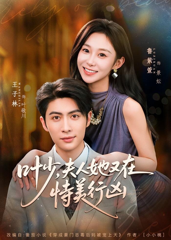 《叶少,夫人她又在恃美行凶》